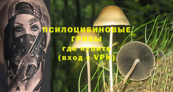 эйфоретик Дмитров