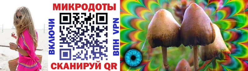 Купить  Заполярный  Галлюциногенные грибы MAGIC MUSHROOMS 