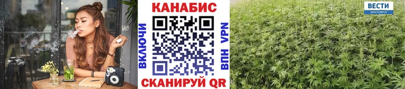 Бошки марихуана марихуана  Купить  Заполярный 